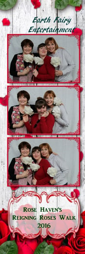 Gallery photo 11 of Earth Fairy Entertainment
