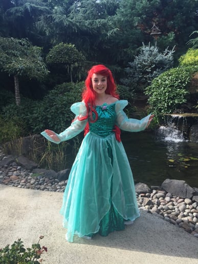 Gallery photo 51 of Earth Fairy Entertainment