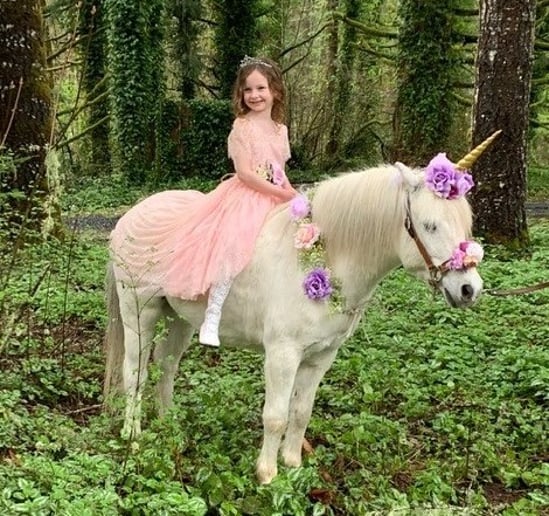 Gallery photo 91 of Earth Fairy Entertainment