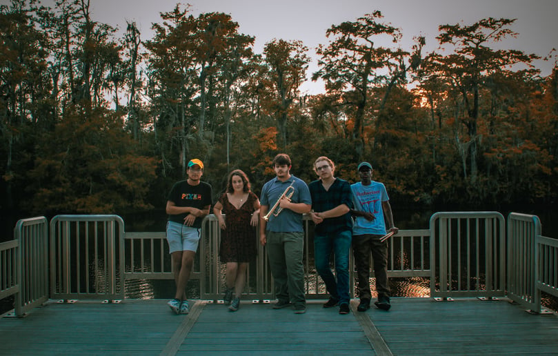 Gallery photo 1 of Earthtones Band