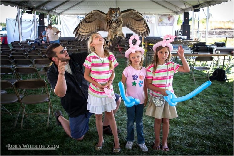 Gallery photo 1 of EarthWings Bird Shows