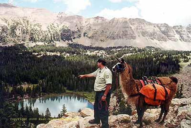 Gallery photo 1 of East-West Global Travel & Tours