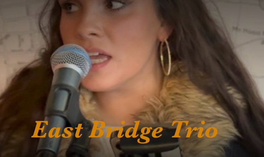 Gallery photo 4 of East Bridge Trio