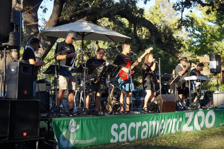 Gallery photo 2 of East Wind Band