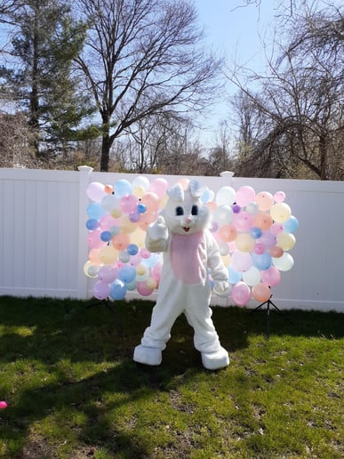 Gallery photo 8 of Easter Bunny by Holiday Helpings