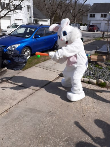 Gallery photo 9 of Easter Bunny by Holiday Helpings