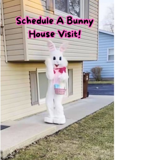 Gallery photo 5 of Kankakee County Easter Bunny