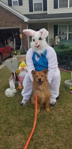 Gallery photo 2 of Easter Bunny of Lexington