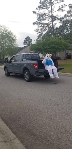 Gallery photo 3 of Easter Bunny of Lexington
