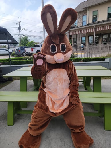 Gallery photo 6 of Easter Bunny Michael