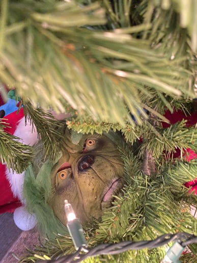 Gallery photo 2 of Grinch Impersonator