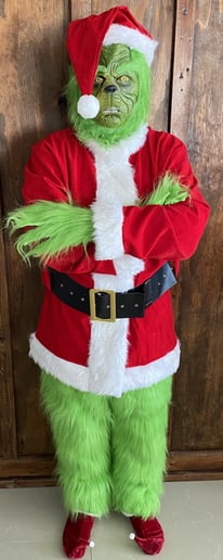 Gallery photo 3 of Grinch Impersonator