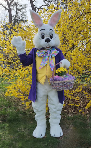 Gallery photo 2 of Spokane Easter Bunny
