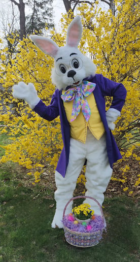 Gallery photo 3 of Spokane Easter Bunny