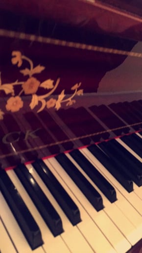 Gallery photo 5 of Caden Rank - Pianist