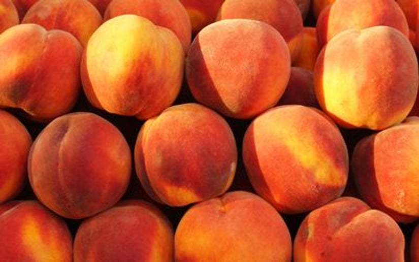 Gallery photo 1 of Eat a Peach: Allman Bros. Tribute
