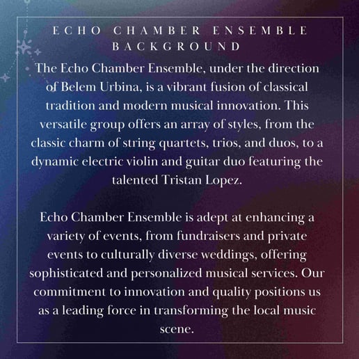 Gallery photo 1 of Echo Chamber Ensemble