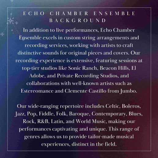 Gallery photo 2 of Echo Chamber Ensemble