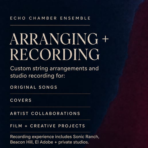 Gallery photo 2 of Echo Chamber Ensemble
