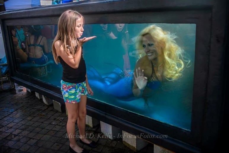Gallery photo 3 of Fintastic Encounters with Mermaid Eden Sirene