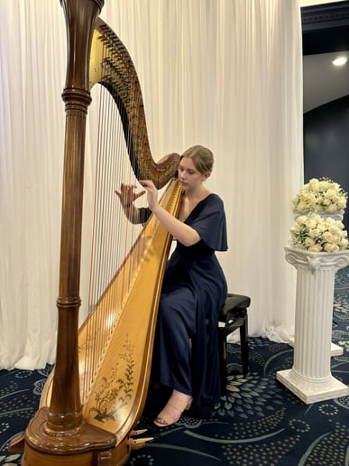 Gallery photo 2 of Edmonton Harpist