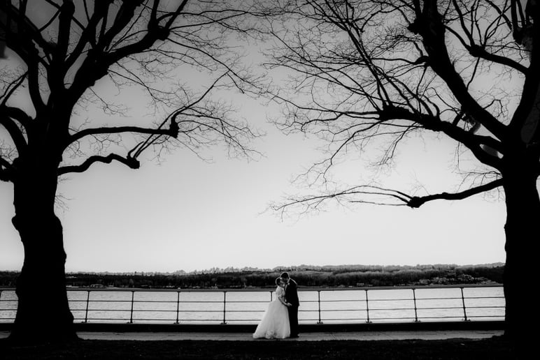 Gallery photo 9 of Edward Neary Photography