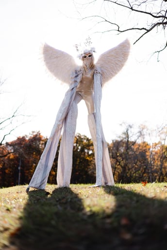 Gallery photo 9 of Egret Stilts