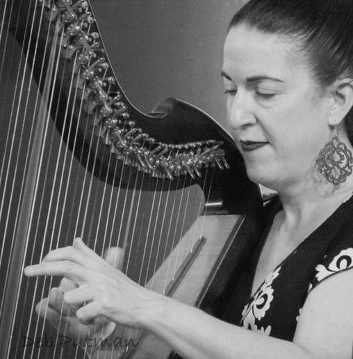Gallery photo 3 of Eileen Gannon - Harpist
