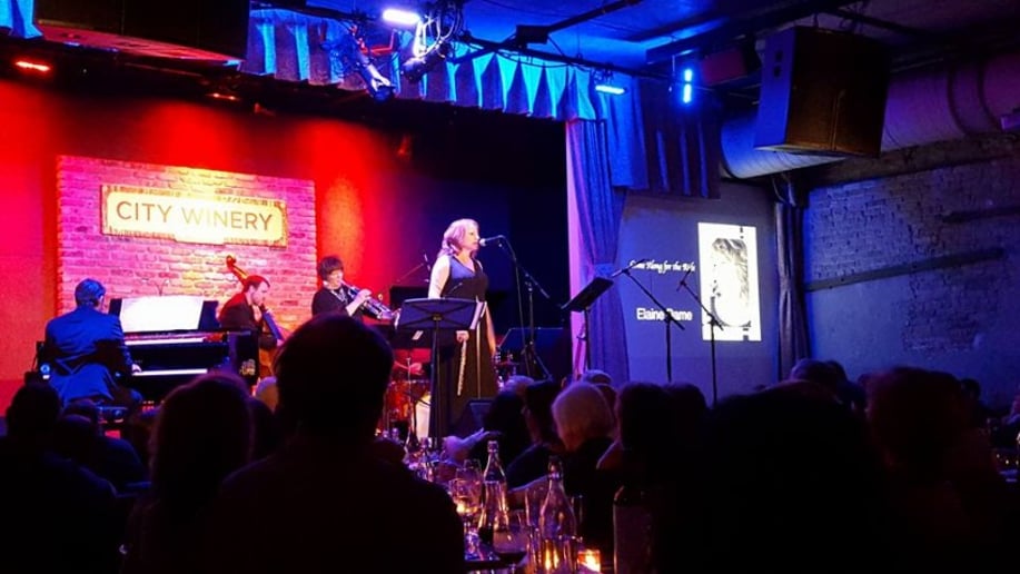 Gallery photo 7 of Elaine Dame, Chicago Jazz Singer