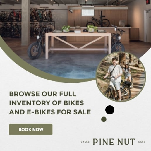 Gallery photo 2 of Electric Bike Rentals