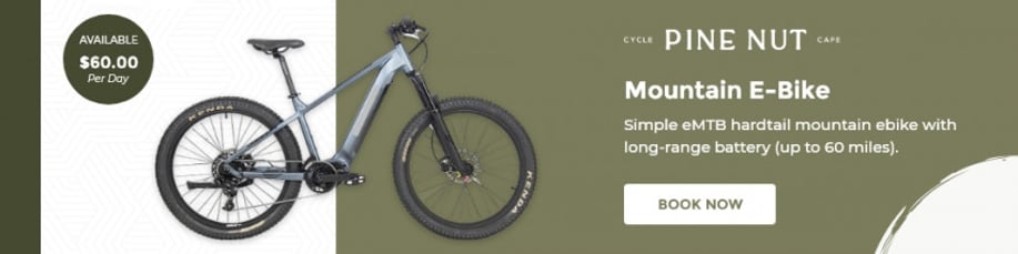 Gallery photo 3 of Electric Bike Rentals