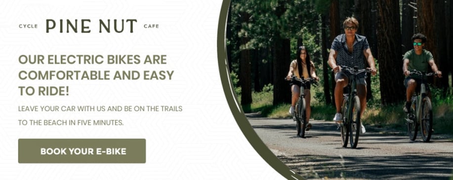 Gallery photo 4 of Electric Bike Rentals