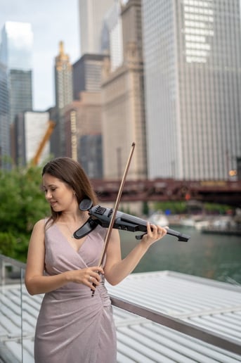 Gallery photo 1 of Electric violinist