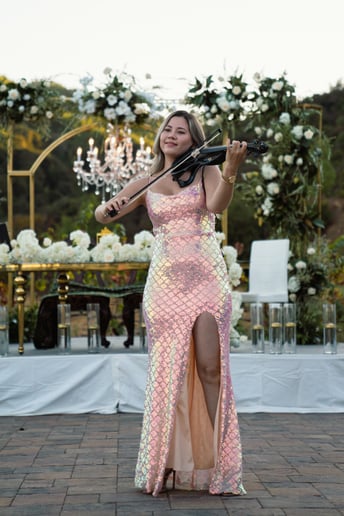 Gallery photo 5 of Electric violinist