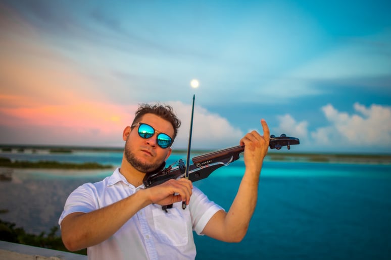 Gallery photo 4 of Electric Violinist