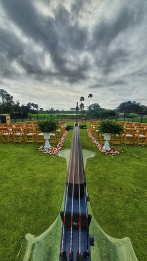 Gallery photo 10 of Electric Violinist