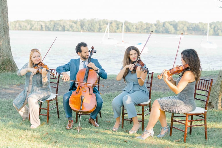 Gallery photo 11 of Elegance Quartet Entertainment