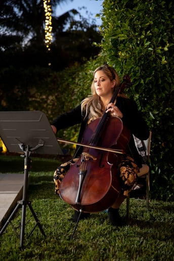 Gallery photo 1 of Elegant Cellist