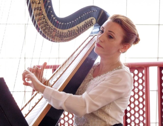 Gallery photo 4 of Harpist - Maria Duhova Trevor