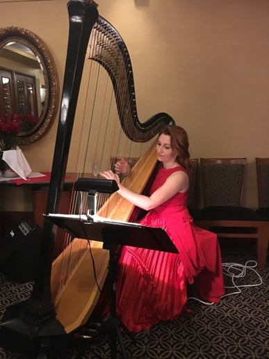 Gallery photo 5 of Harpist - Maria Duhova Trevor