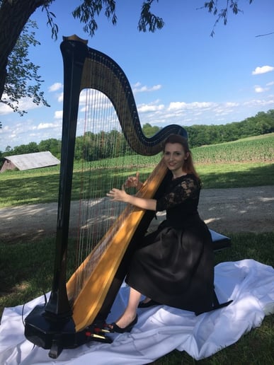 Gallery photo 9 of Harpist - Maria Duhova Trevor