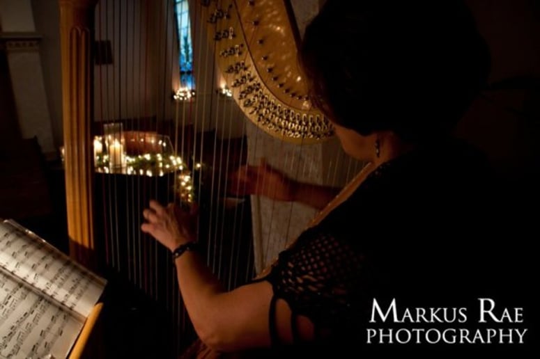 Gallery photo 2 of Elegant Harp Music for All Occasion