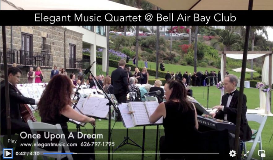 Gallery photo 5 of Elegant Music