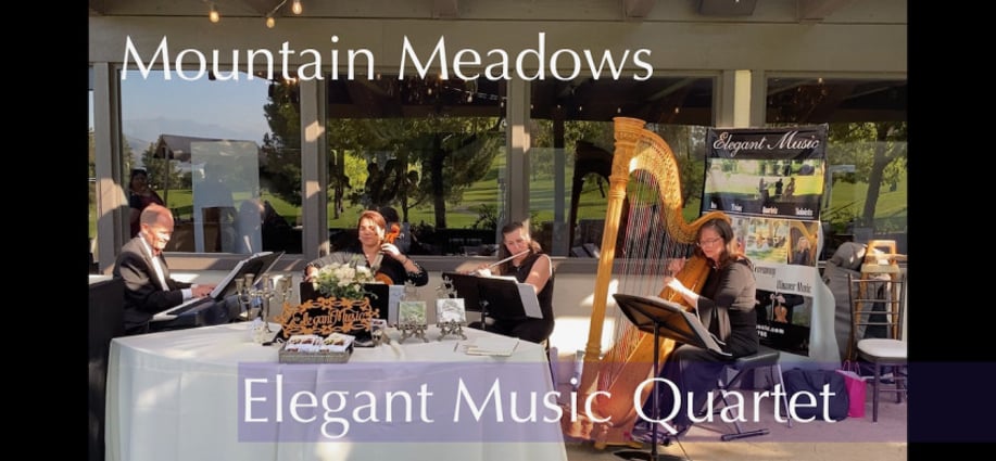 Gallery photo 11 of Elegant Music