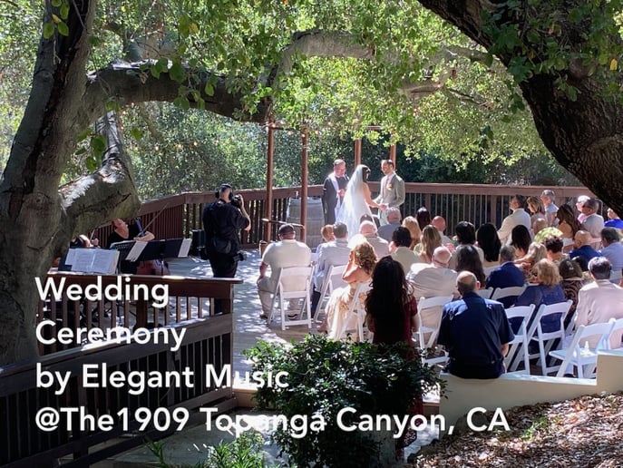 Gallery photo 15 of Elegant Music