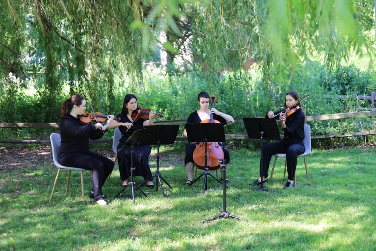 Gallery photo 1 of Evanston Strings, Elegant & Professional Live Music