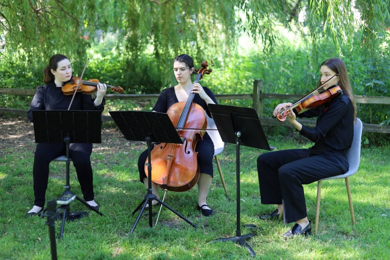Gallery photo 9 of Evanston Strings, Elegant & Professional Live Music