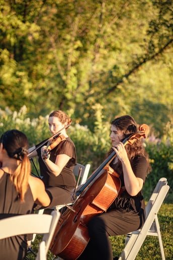 Gallery photo 2 of Evanston Strings, Elegant & Professional Live Music