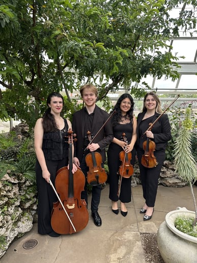 Gallery photo 10 of Evanston Strings, Elegant & Professional Live Music
