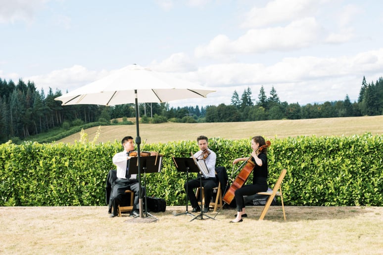 Gallery photo 2 of Elegant Solo Cello
